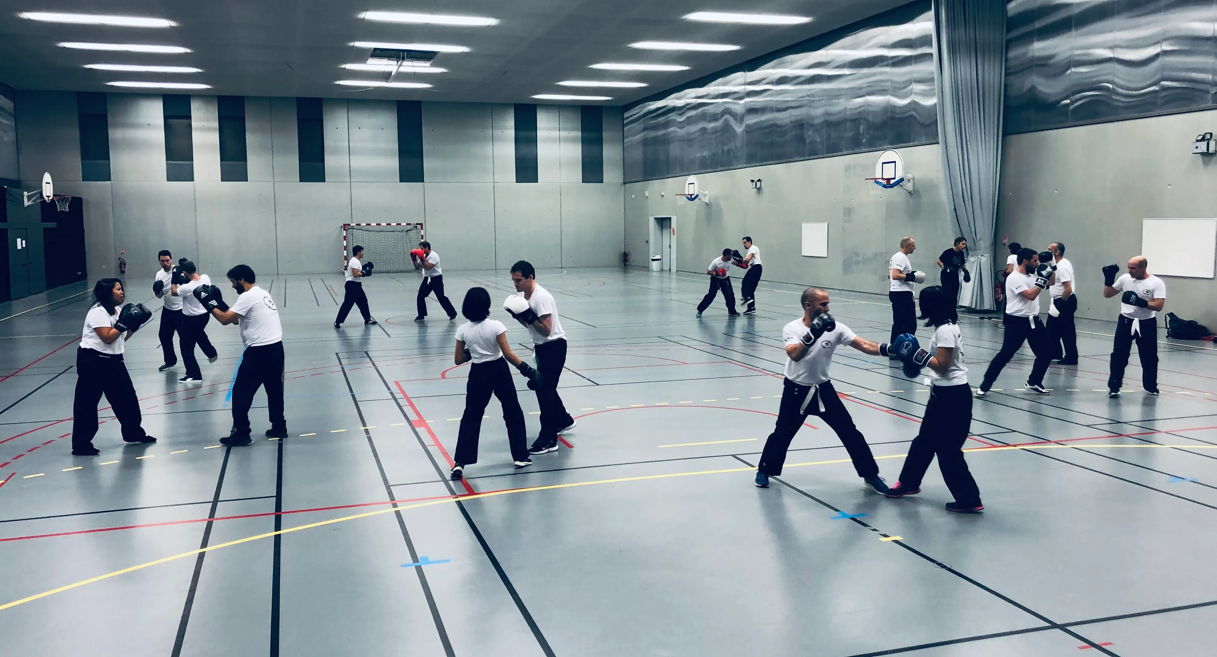 Cours de Krav Maga au club d'Antony